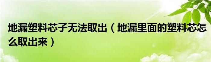 地漏塑料芯子無法取出（地漏里面的塑料芯怎么取出來）