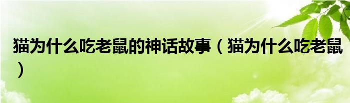 貓為什么吃老鼠的神話故事（貓為什么吃老鼠）
