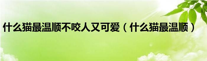 什么貓最溫順不咬人又可愛(ài)（什么貓最溫順）