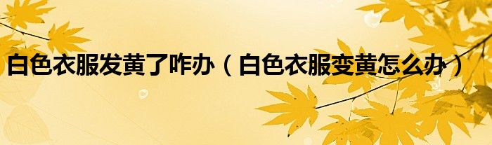 白色衣服發(fā)黃了咋辦（白色衣服變黃怎么辦）
