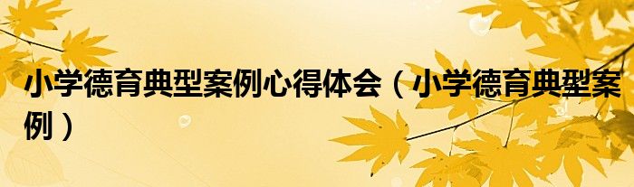 小學(xué)德育典型案例心得體會（小學(xué)德育典型案例）