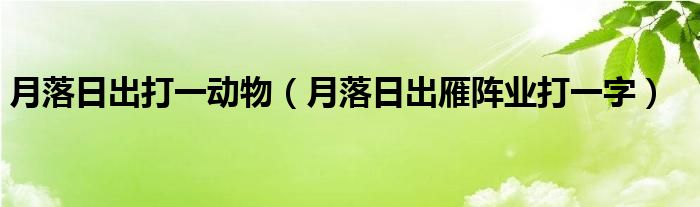 月落日出打一動物（月落日出雁陣業(yè)打一字）