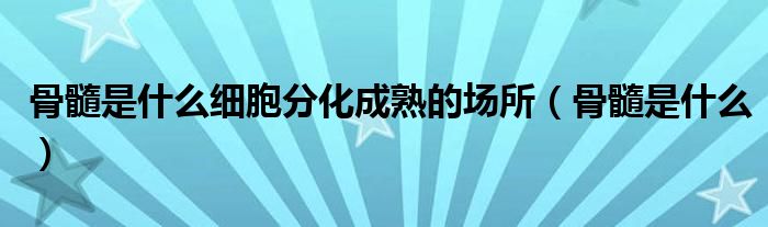 骨髓是什么細胞分化成熟的場所（骨髓是什么）