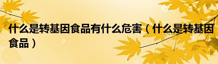 什么是轉(zhuǎn)基因食品有什么危害（什么是轉(zhuǎn)基因食品）