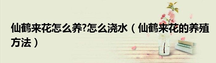 仙鶴來花怎么養(yǎng)?怎么澆水（仙鶴來花的養(yǎng)殖方法）