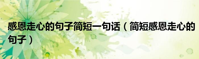 感恩走心的句子簡短一句話（簡短感恩走心的句子）