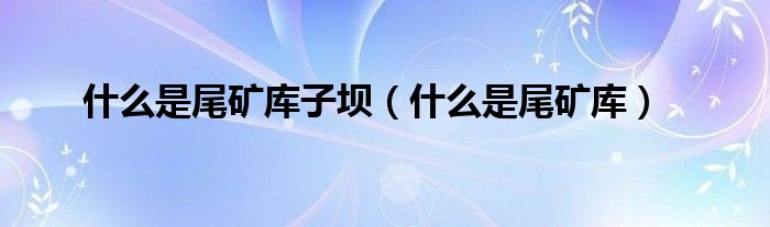 什么是尾礦庫子壩（什么是尾礦庫）