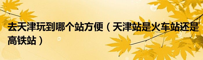 去天津玩到哪個站方便（天津站是火車站還是高鐵站）
