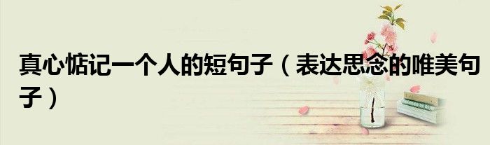 真心惦記一個人的短句子（表達思念的唯美句子）