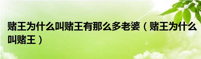 賭王為什么叫賭王有那么多老婆（賭王為什么叫賭王）