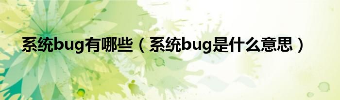 系統(tǒng)bug有哪些（系統(tǒng)bug是什么意思）