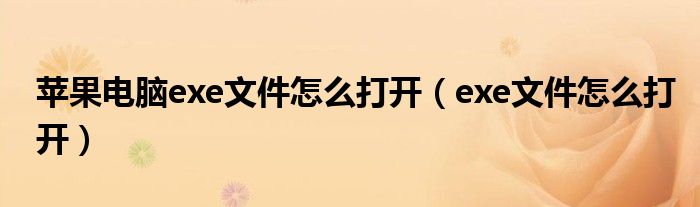 蘋果電腦exe文件怎么打開（exe文件怎么打開）