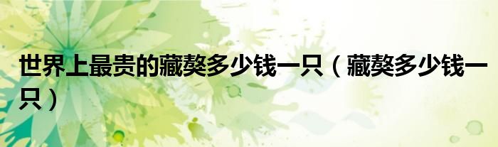 世界上最貴的藏獒多少錢一只（藏獒多少錢一只）