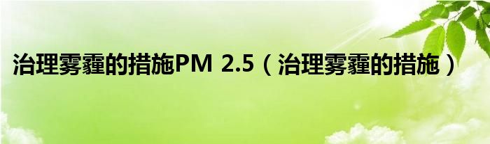 治理霧霾的措施PM 2.5（治理霧霾的措施）