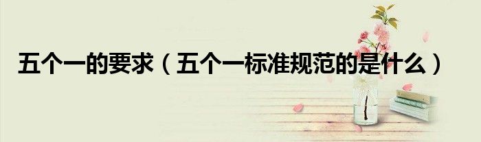 五個一的要求（五個一標(biāo)準(zhǔn)規(guī)范的是什么）