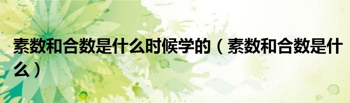 素數(shù)和合數(shù)是什么時候?qū)W的（素數(shù)和合數(shù)是什么）