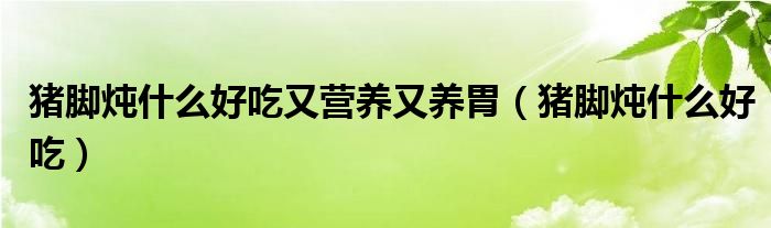 豬腳燉什么好吃又營養(yǎng)又養(yǎng)胃（豬腳燉什么好吃）