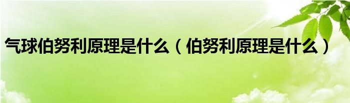 氣球伯努利原理是什么（伯努利原理是什么）