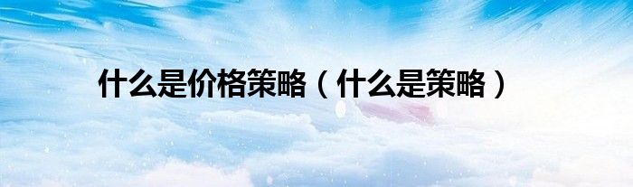 什么是價格策略（什么是策略）