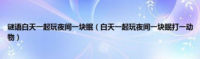 謎語白天一起玩夜間一塊眠（白天一起玩夜間一塊眠打一動物）