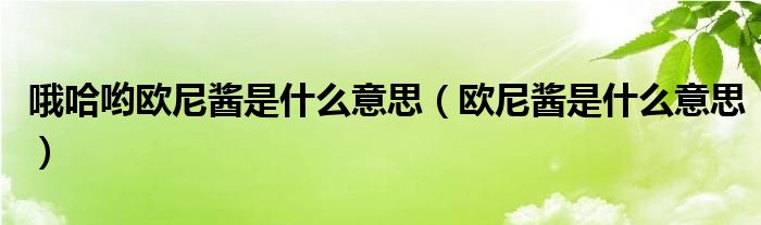 哦哈喲歐尼醬是什么意思（歐尼醬是什么意思）