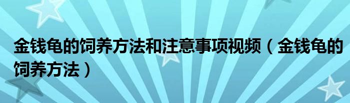 金錢龜?shù)娘曫B(yǎng)方法和注意事項視頻（金錢龜?shù)娘曫B(yǎng)方法）