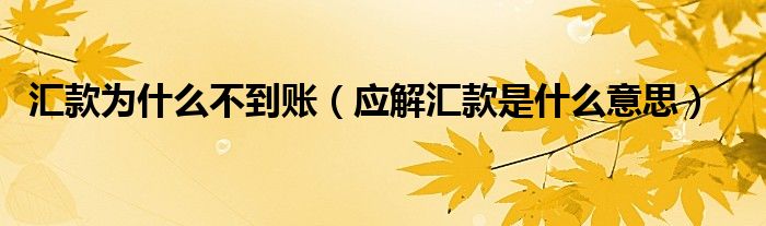 匯款為什么不到賬（應(yīng)解匯款是什么意思）