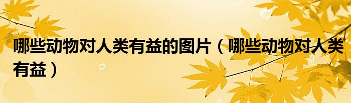 哪些動物對人類有益的圖片（哪些動物對人類有益）