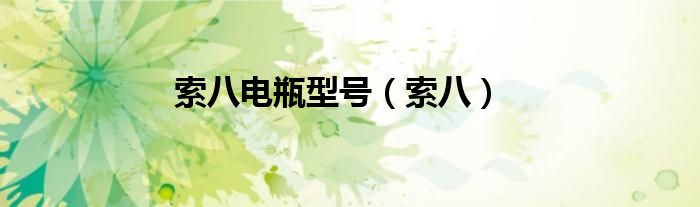 索八電瓶型號（索八）