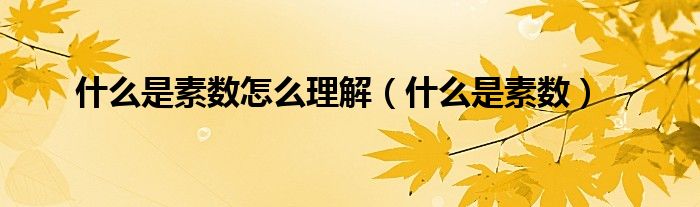 什么是素數(shù)怎么理解（什么是素數(shù)）