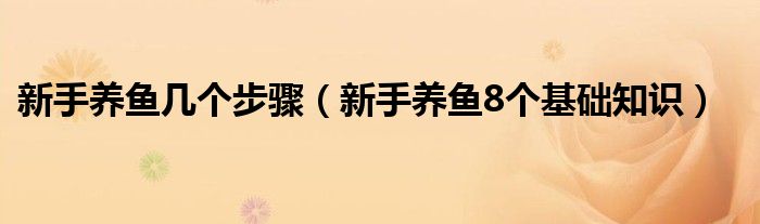 新手養(yǎng)魚幾個步驟（新手養(yǎng)魚8個基礎知識）