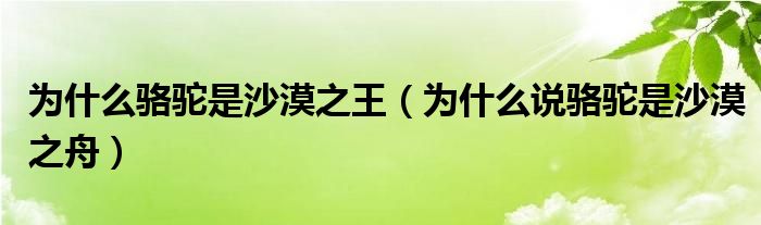 為什么駱駝是沙漠之王（為什么說駱駝是沙漠之舟）