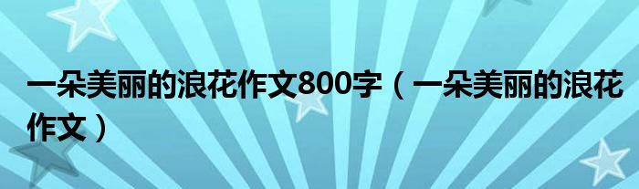 一朵美麗的浪花作文800字（一朵美麗的浪花作文）