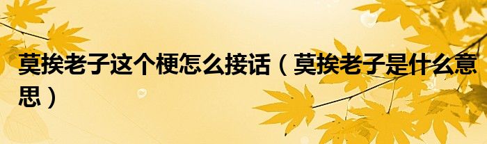 莫挨老子這個梗怎么接話（莫挨老子是什么意思）