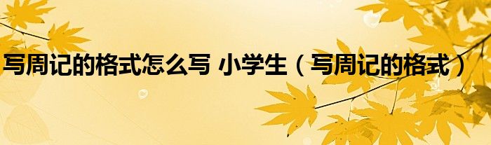 寫周記的格式怎么寫 小學(xué)生（寫周記的格式）