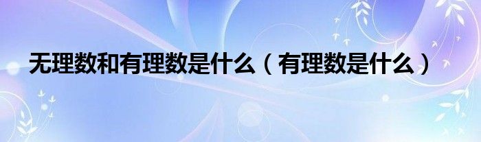 無理數(shù)和有理數(shù)是什么（有理數(shù)是什么）