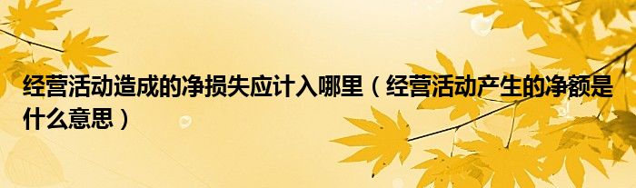 經(jīng)營活動(dòng)造成的凈損失應(yīng)計(jì)入哪里（經(jīng)營活動(dòng)產(chǎn)生的凈額是什么意思）