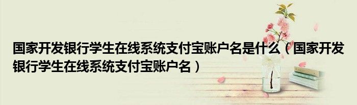 國家開發(fā)銀行學(xué)生在線系統(tǒng)支付寶賬戶名是什么（國家開發(fā)銀行學(xué)生在線系統(tǒng)支付寶賬戶名）