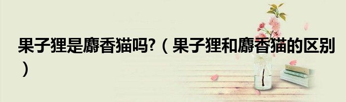 果子貍是麝香貓嗎?（果子貍和麝香貓的區(qū)別）