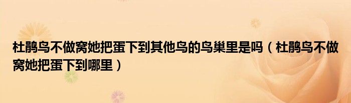 杜鵑鳥不做窩她把蛋下到其他鳥的鳥巢里是嗎（杜鵑鳥不做窩她把蛋下到哪里）