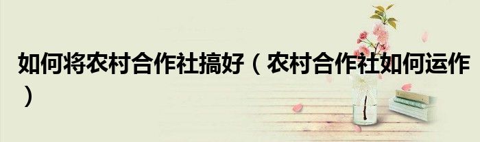 如何將農(nóng)村合作社搞好（農(nóng)村合作社如何運(yùn)作）