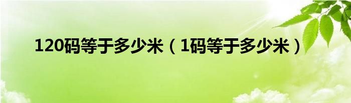 120碼等于多少米（1碼等于多少米）
