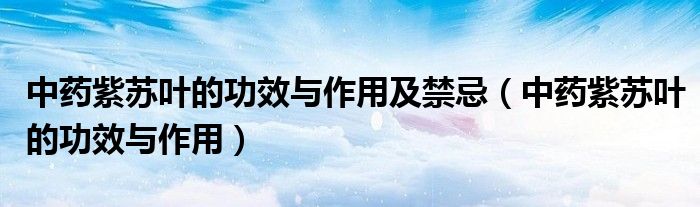 中藥紫蘇葉的功效與作用及禁忌（中藥紫蘇葉的功效與作用）