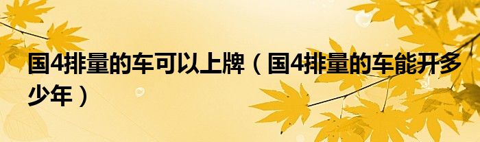 國(guó)4排量的車(chē)可以上牌（國(guó)4排量的車(chē)能開(kāi)多少年）