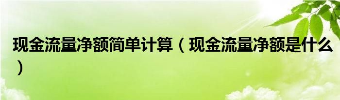 現(xiàn)金流量?jī)纛~簡(jiǎn)單計(jì)算（現(xiàn)金流量?jī)纛~是什么）