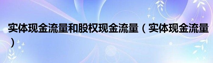 實體現(xiàn)金流量和股權(quán)現(xiàn)金流量（實體現(xiàn)金流量）