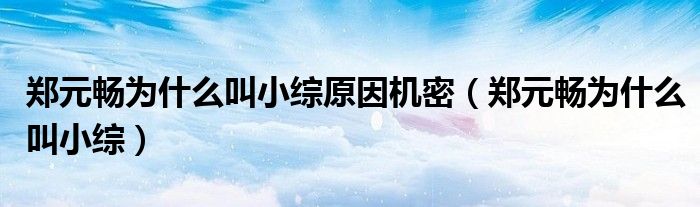 鄭元暢為什么叫小綜原因機密（鄭元暢為什么叫小綜）