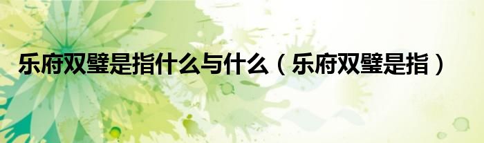 樂(lè)府雙璧是指什么與什么（樂(lè)府雙璧是指）