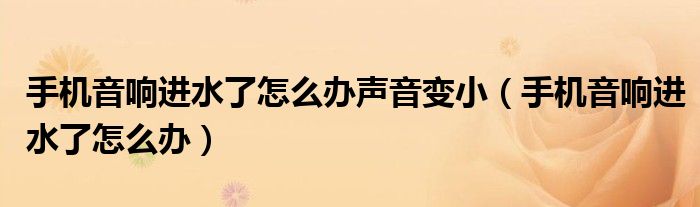 手機(jī)音響進(jìn)水了怎么辦聲音變?。ㄊ謾C(jī)音響進(jìn)水了怎么辦）