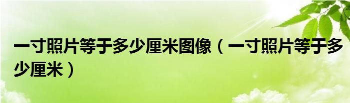 一寸照片等于多少厘米圖像（一寸照片等于多少厘米）